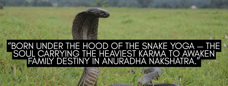 “Born Under the Hood of the Snake Yoga — The Soul Carrying the Heaviest Karma to Awaken Family Destiny in Anuradha Nakshatra.”